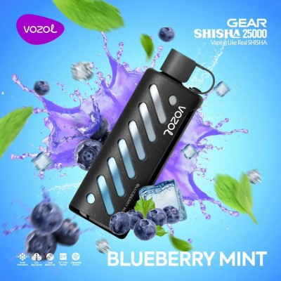 Vozol Gear 25000 Blueberry Mint Vozol Gear 25000 Blueberry Mint